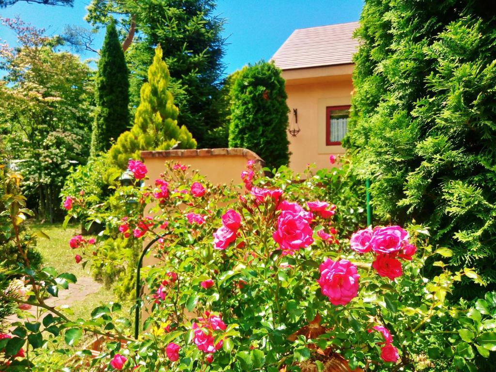 Aromatic Garden Villa La Poltrona photo 1