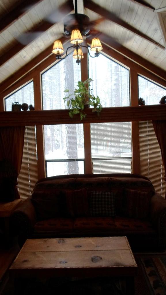 Cedar Pines Resort photo 4