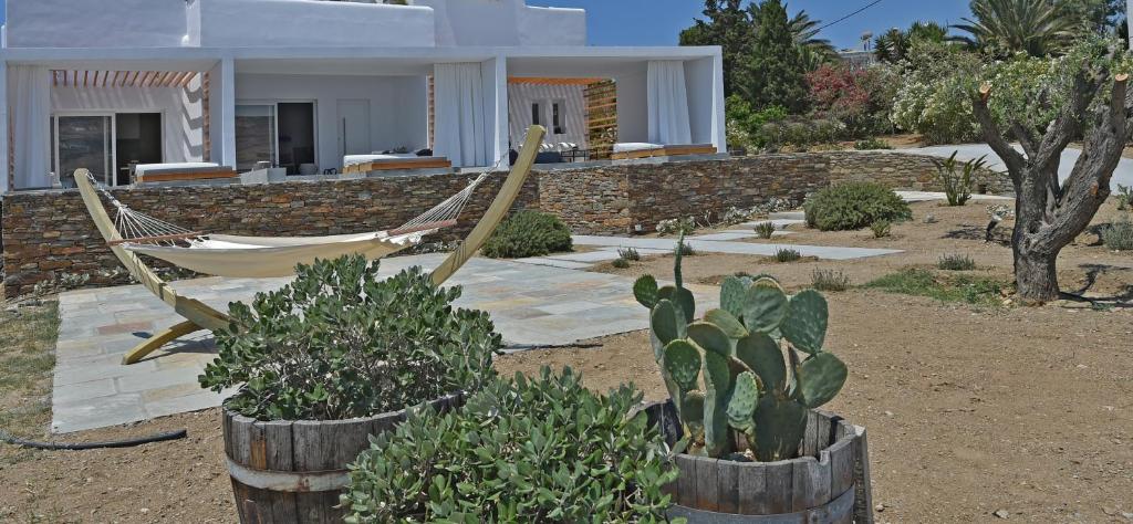 Tinos Blend Suites photo 3