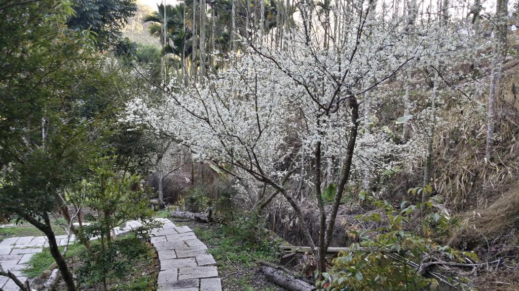 Bright Moon Homestay photo 3