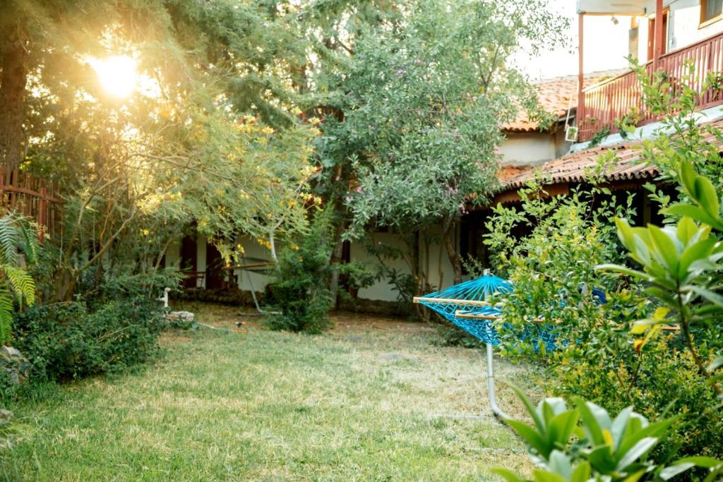 Assos Terrace Hotel photo 3