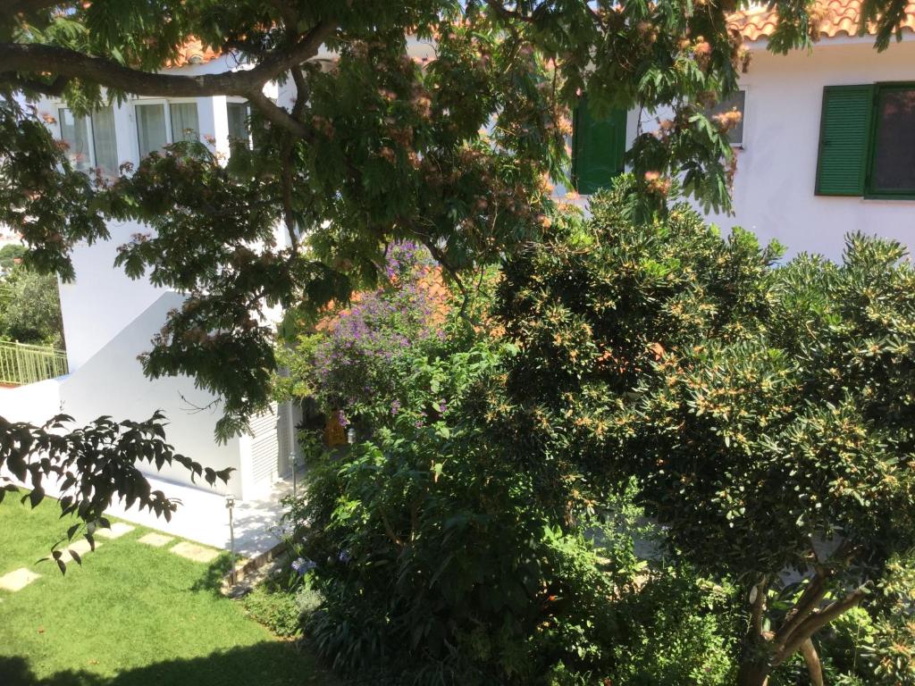 Villa Yiannis (Adult Friendly) photo 1