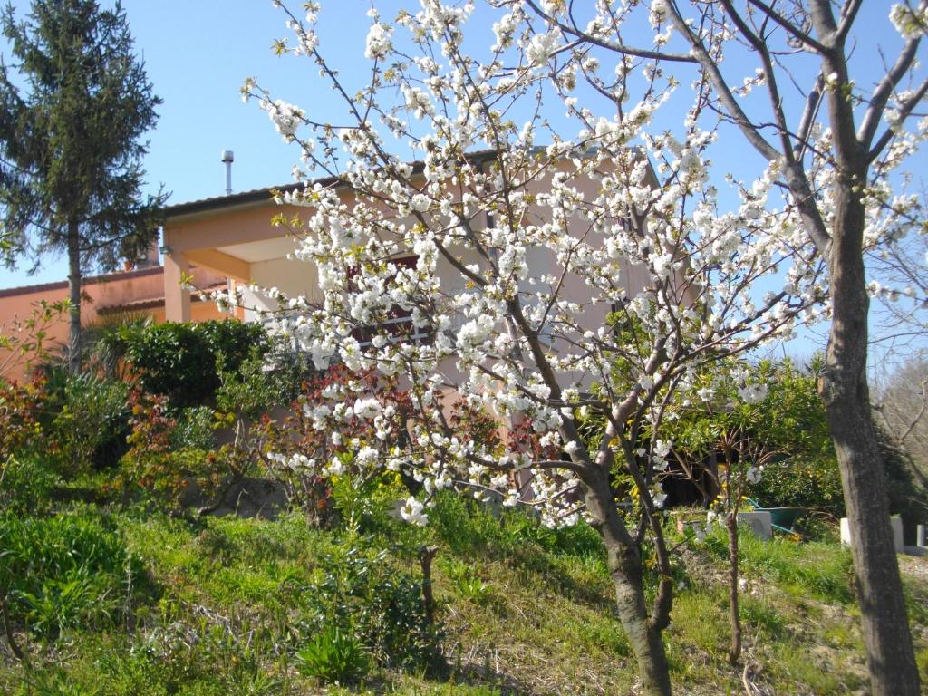 Il Rifugio dell'Ape Agriturismo photo 2