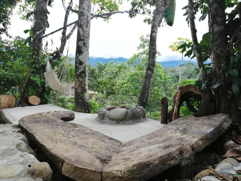 Jungle Roots photo 4