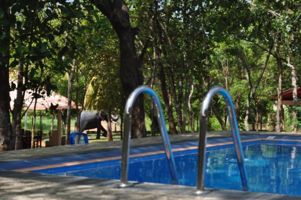 Vaana Resort photo 2