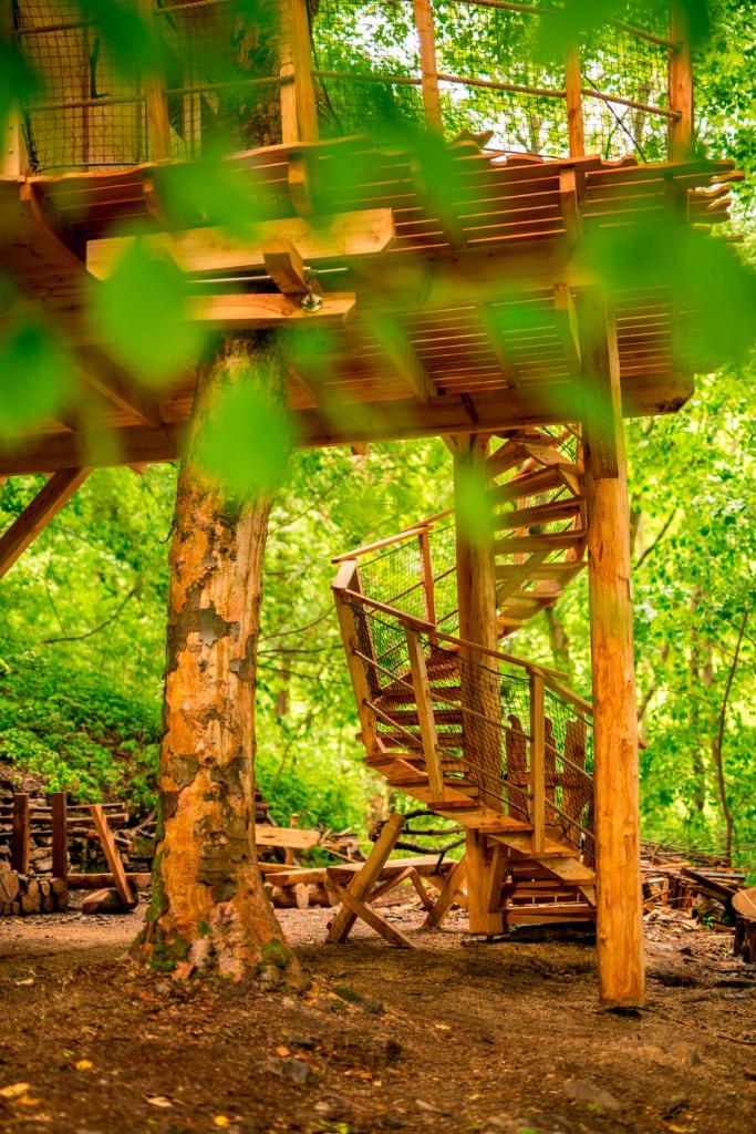 Treehouse pod Jestedem photo 2