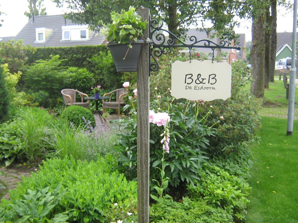 B&B De Esdoorn photo 1