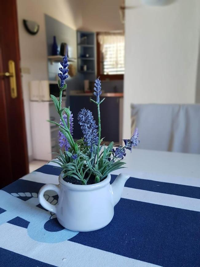 Maslina Apartment photo 3