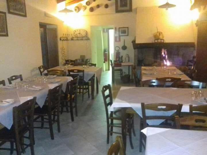 Le Chianine dei Tognoli photo 3