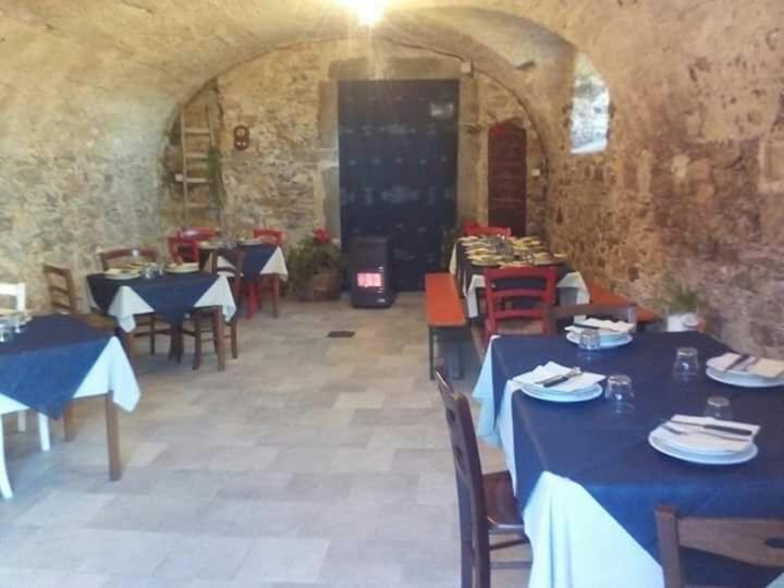 Le Chianine dei Tognoli photo 2