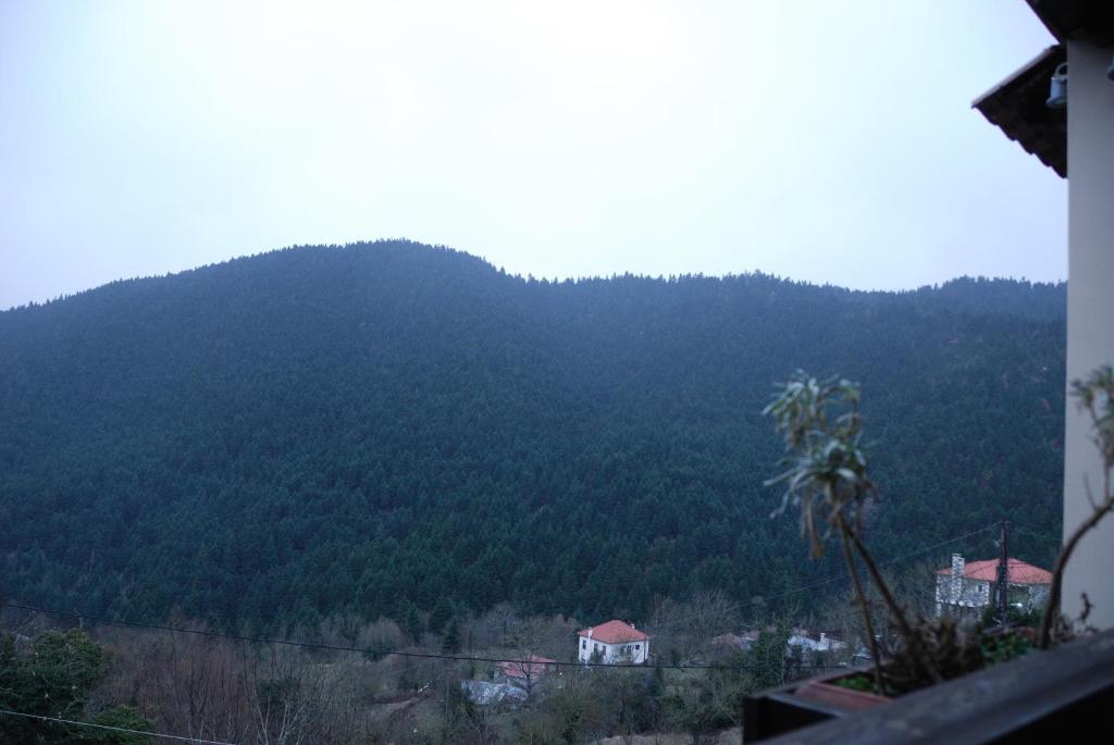 Villa Virginia Hotel photo 4