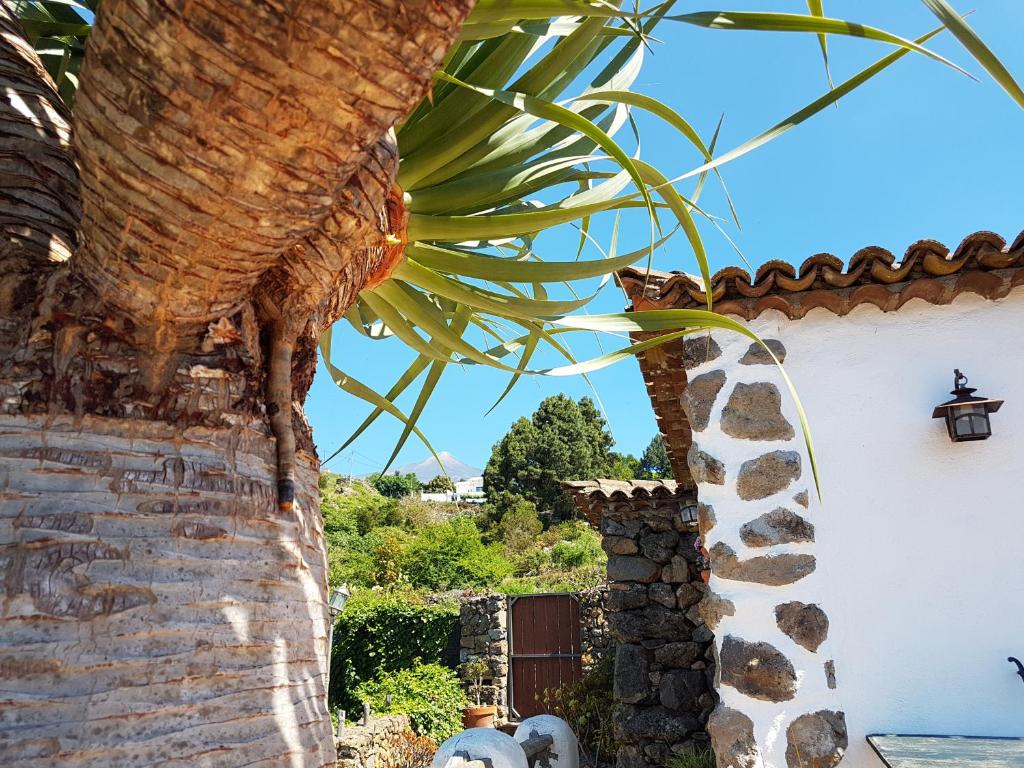 Finca Los Ciruelos Casas Rurales photo 2