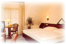 Hotel am Gisselgrund photo 1
