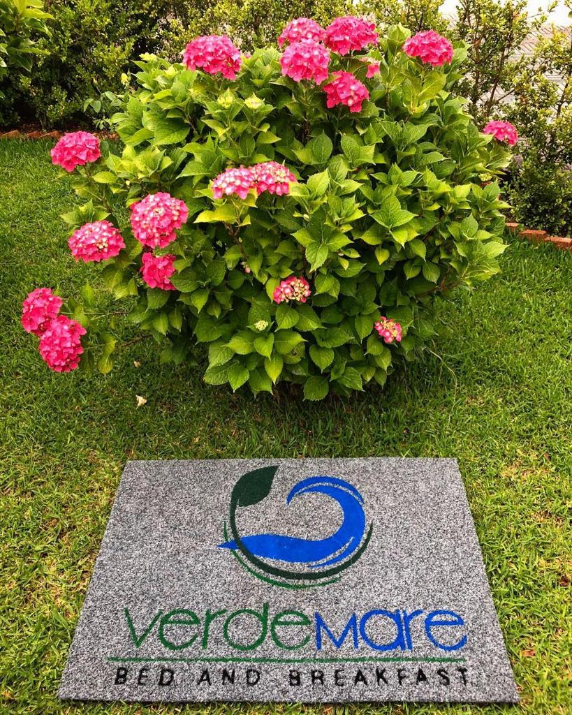 B&b VerdeMare Camerota photo 4