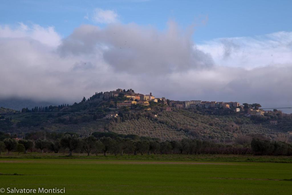 Casetta Singola vicino al Mare photo 1