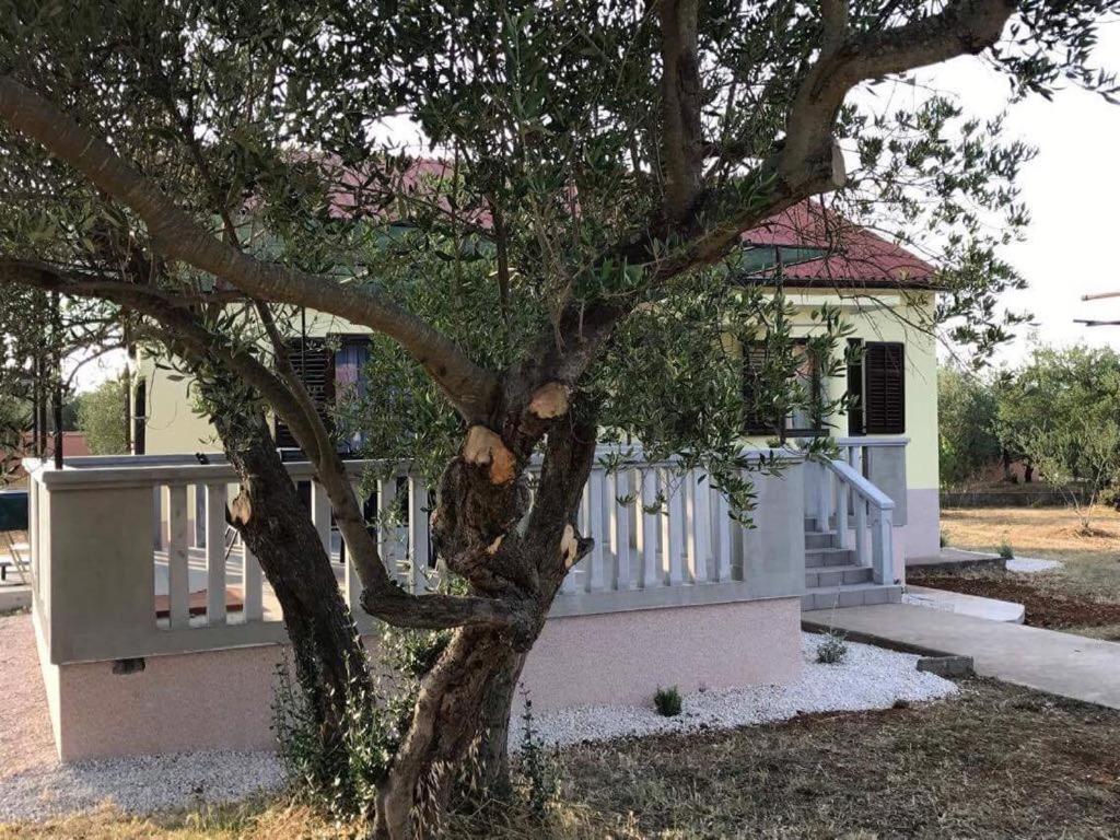Kuća za odmor Dido Ive photo 3