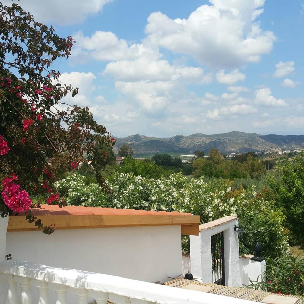 Finca Rayo del Sol photo 4