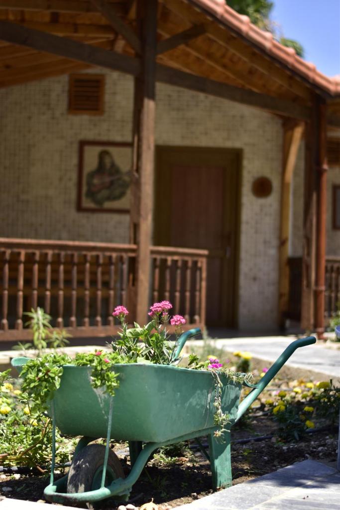 Likya Adrasan Otel photo 1