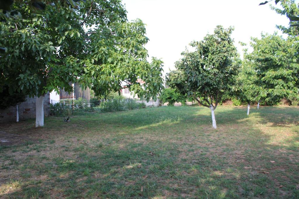 Maria's Guesthouse photo 4