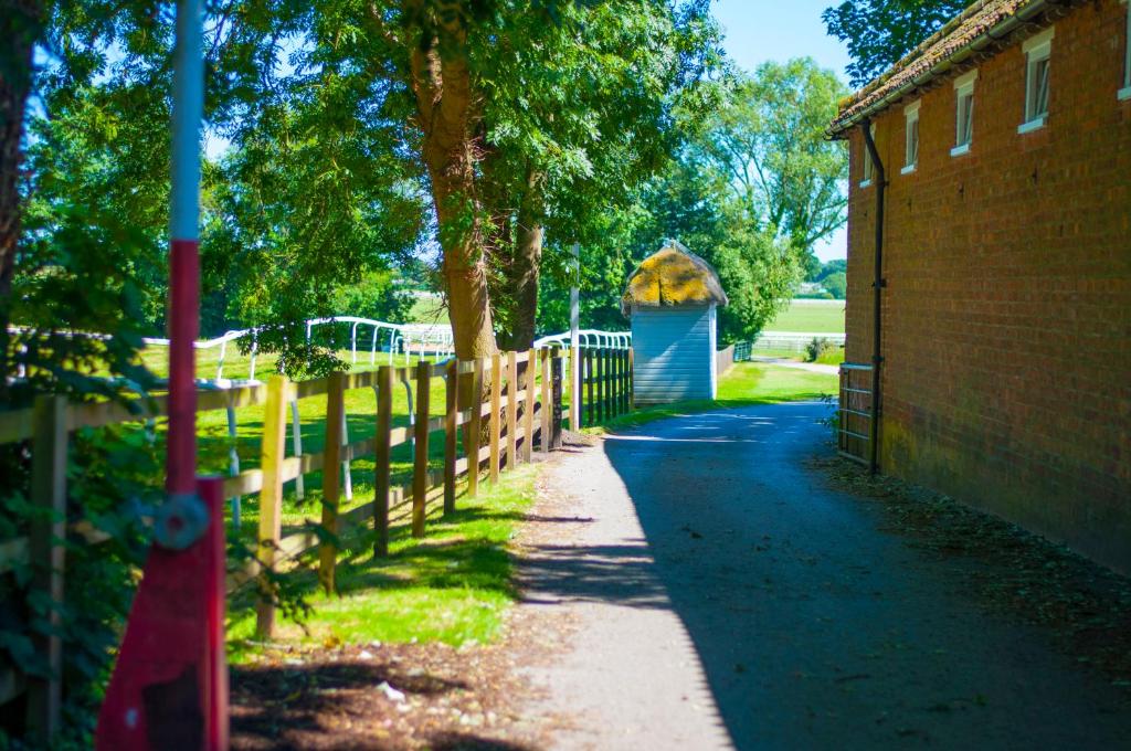 Stableside at York Racecourse photo 4