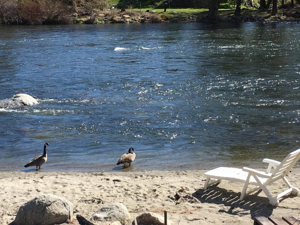 River's Edge Lodge photo 3