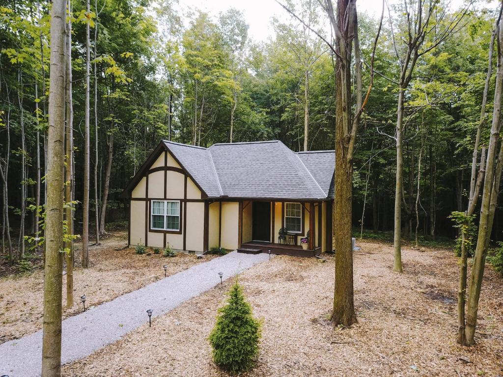 Vineyard Woods photo 1