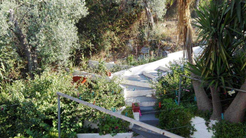 Stelios Studios photo 3