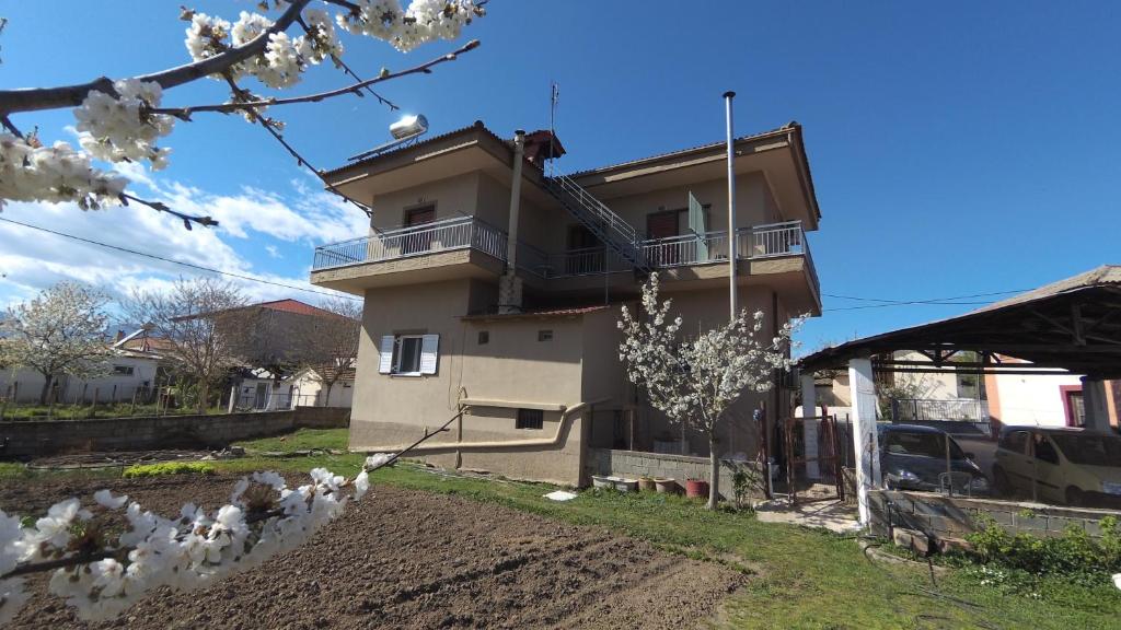 Fofi's Place photo 1