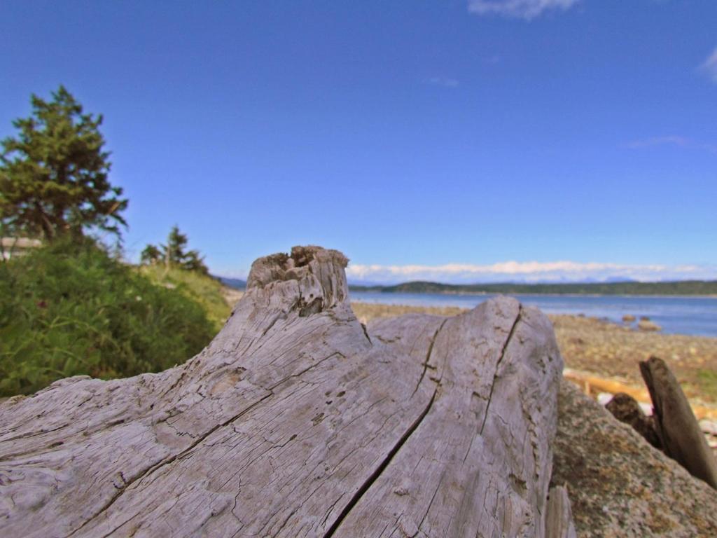 Heron's Landing Hotel photo 3