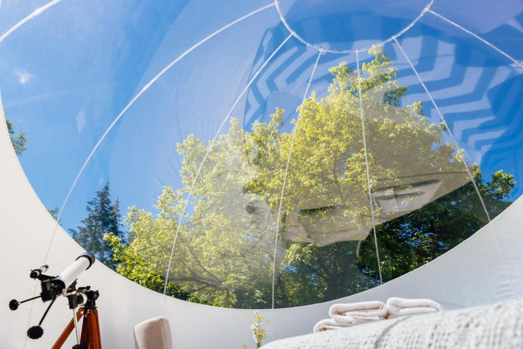 Somn'en bulle photo 2