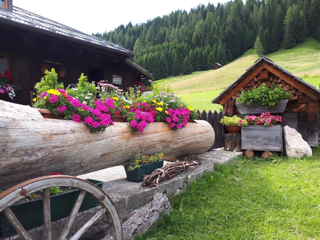 Schlossar Haus photo 2