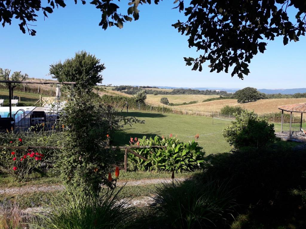 Agriturismo Cantinaccia di Sopra photo 4