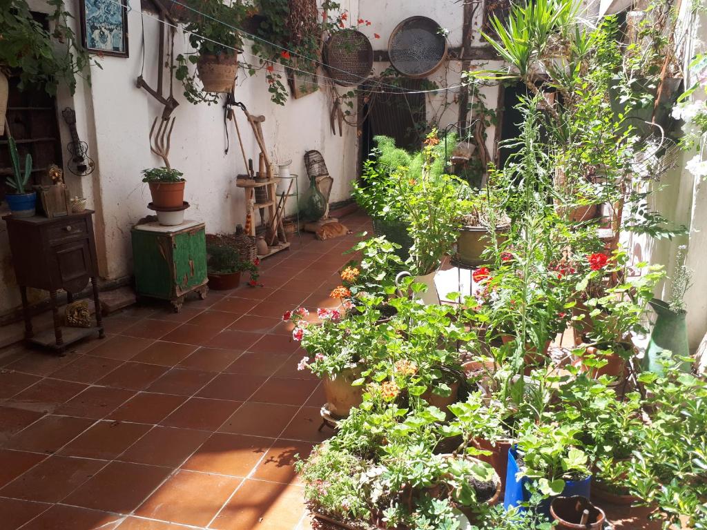 Fonda Del Tozal photo 2