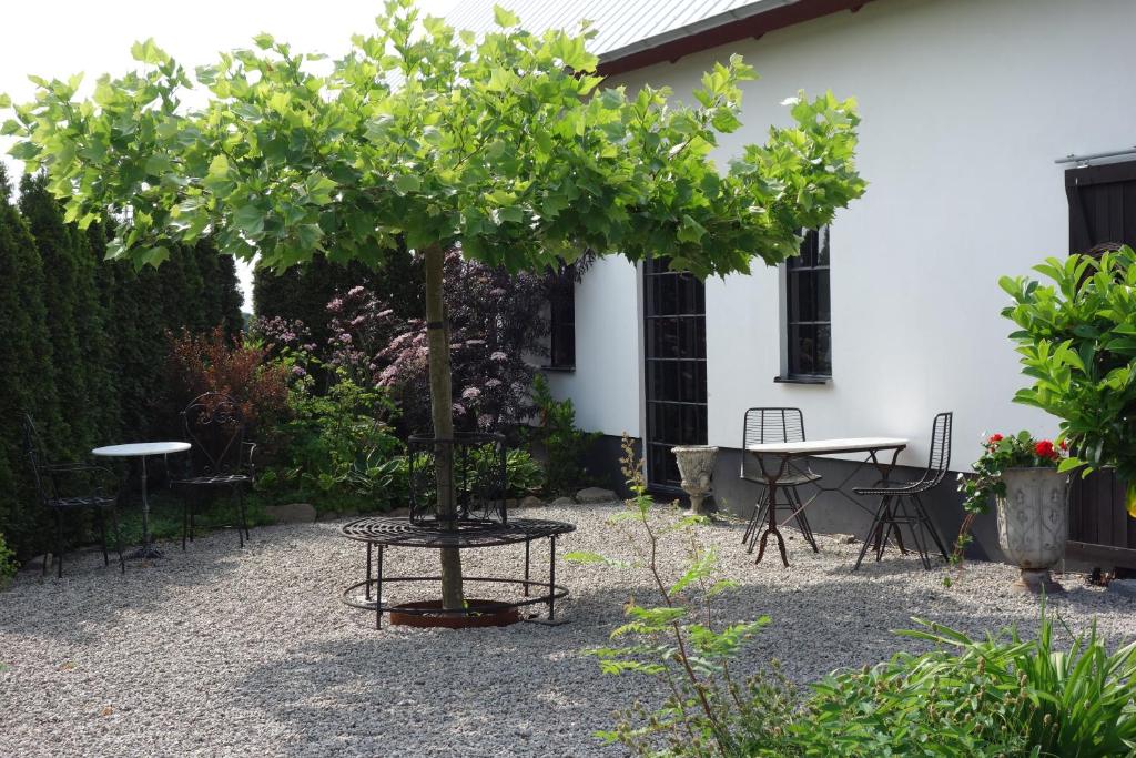 Villa Gina Österlen photo 4