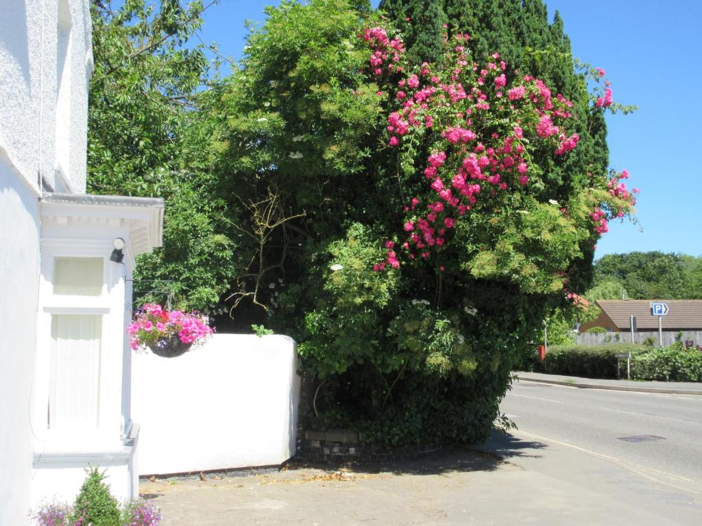 Anchor House photo 3
