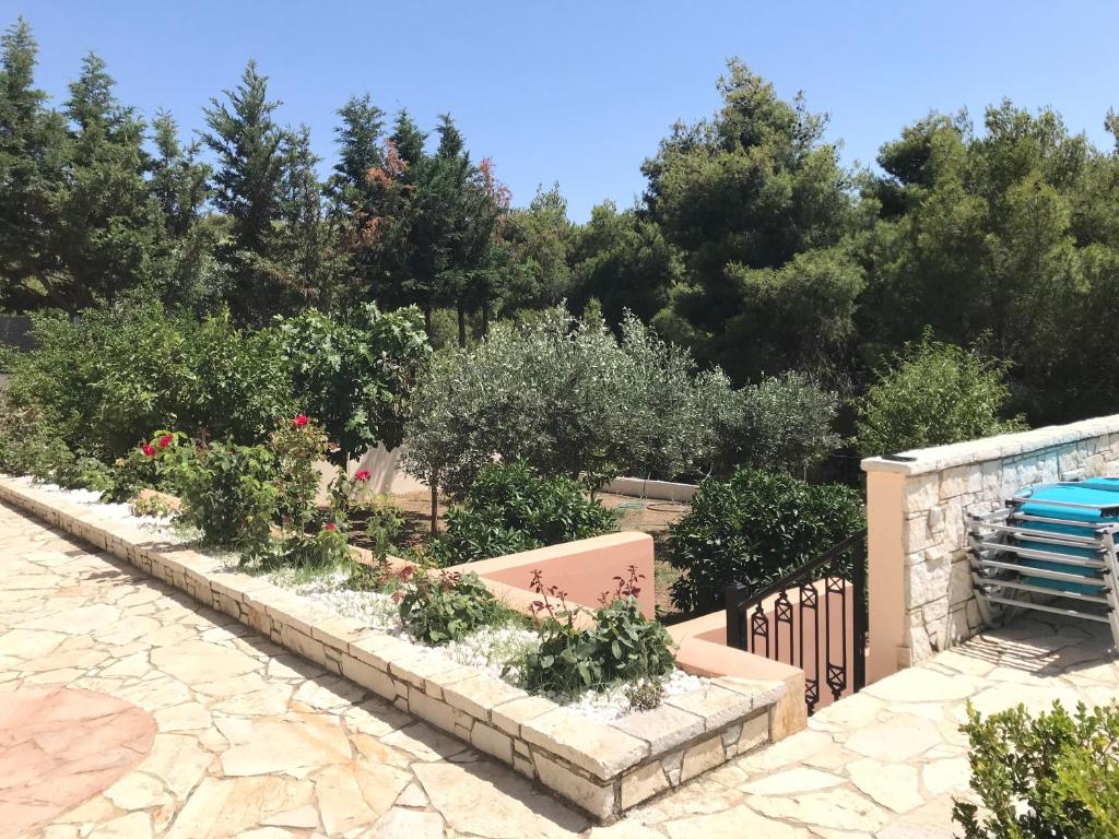 Terra Relaxa photo 1