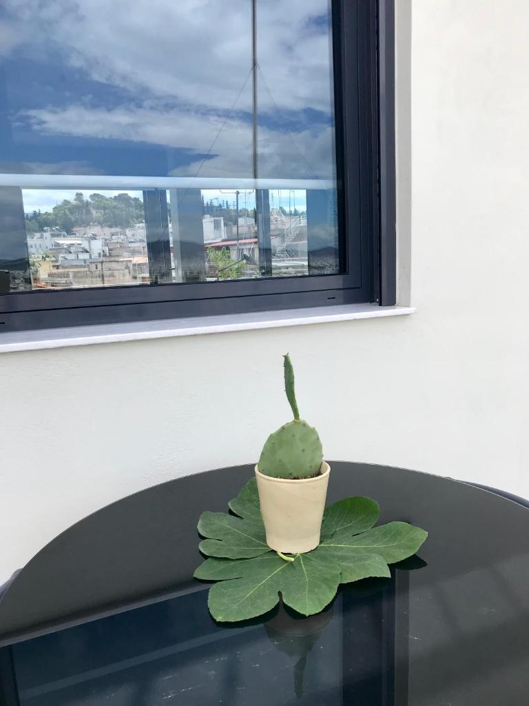 Stylish penthouse with Acropolis and 360 view photo 4