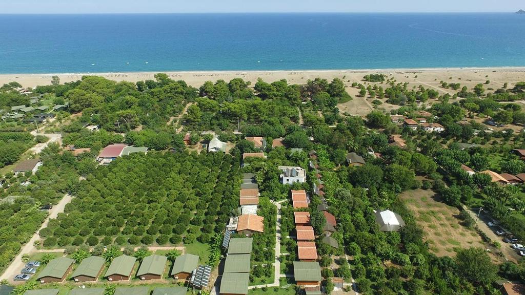 Secret Garden Hotel & Bungalows photo 1