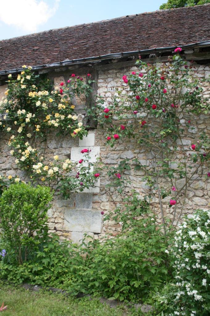 Ancien pavillon de chasse du château de Chaumont sur Loire photo 3