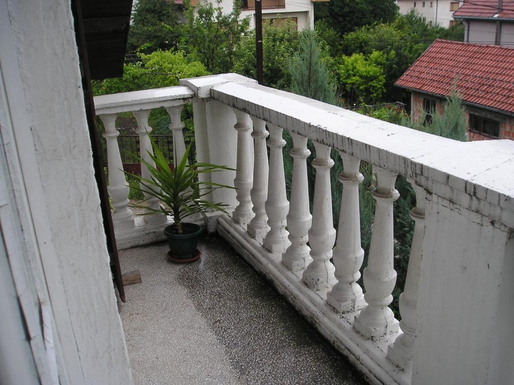 B&B Vila na Belom Bregu photo 4