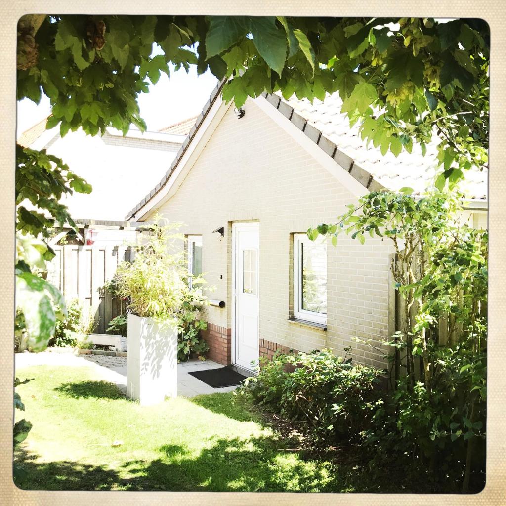 De Munnik photo 1