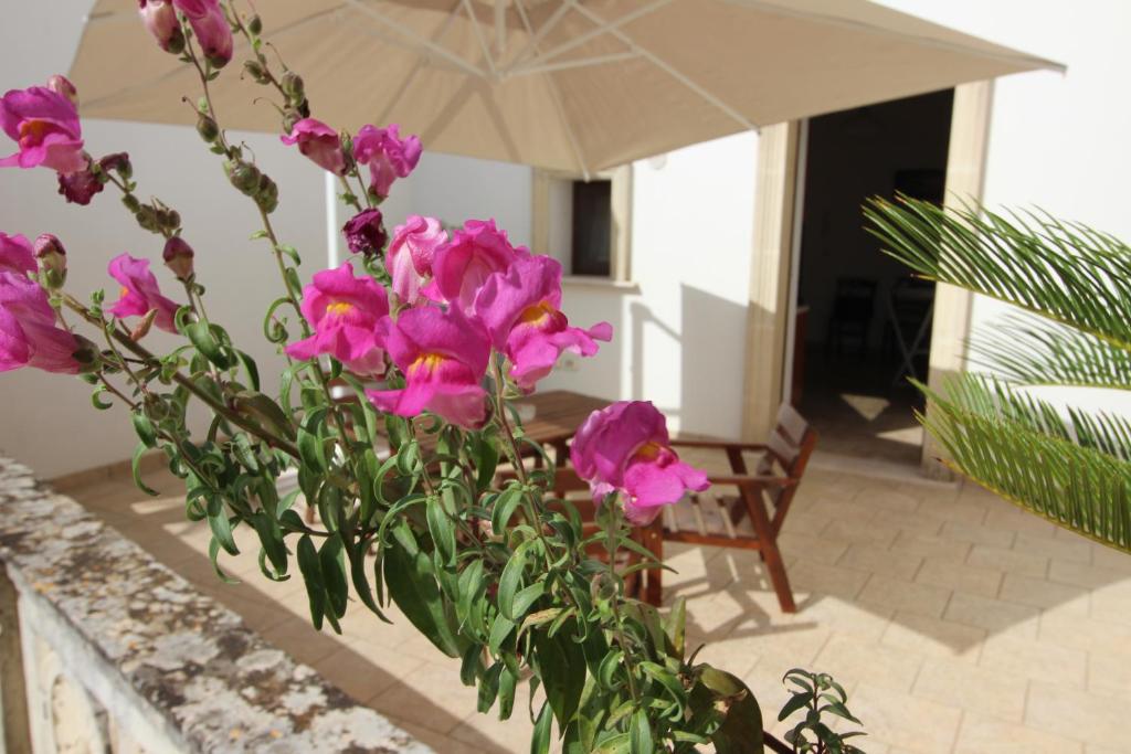 Home Holiday Salento Casa Agrosì Don Camillo photo 4