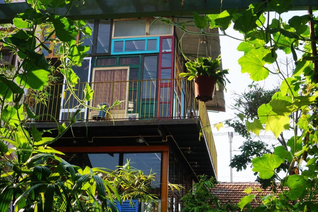Yellow Farm homestay