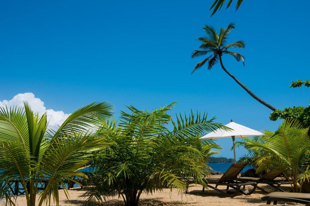 Club Santana Beach & Resort photo 2