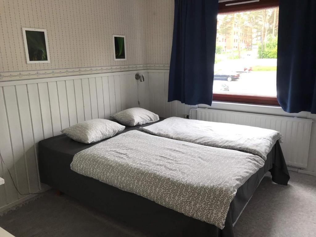Двухместный (Двухместный номер с 2 отдельными кроватями), Guesthouse Borealis
