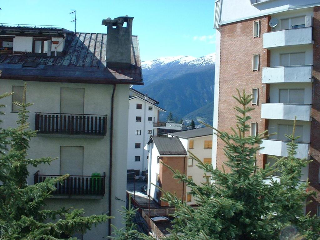 Il Capriolo photo 4