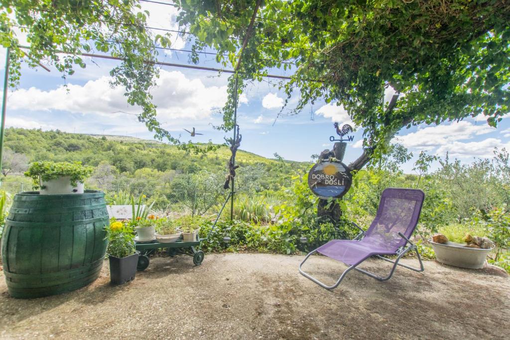 House Green Paradise photo 2