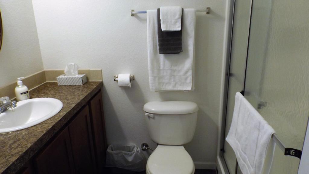Campbell's Accommodations photo 3