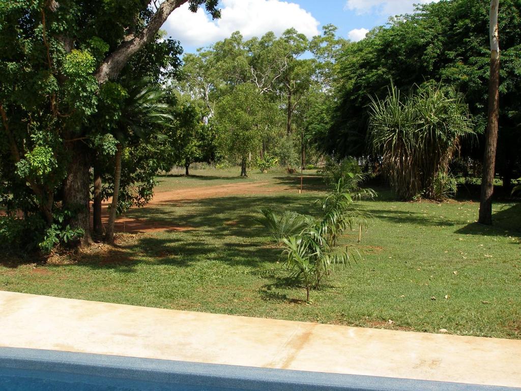Pandanus on Litchfield photo 4