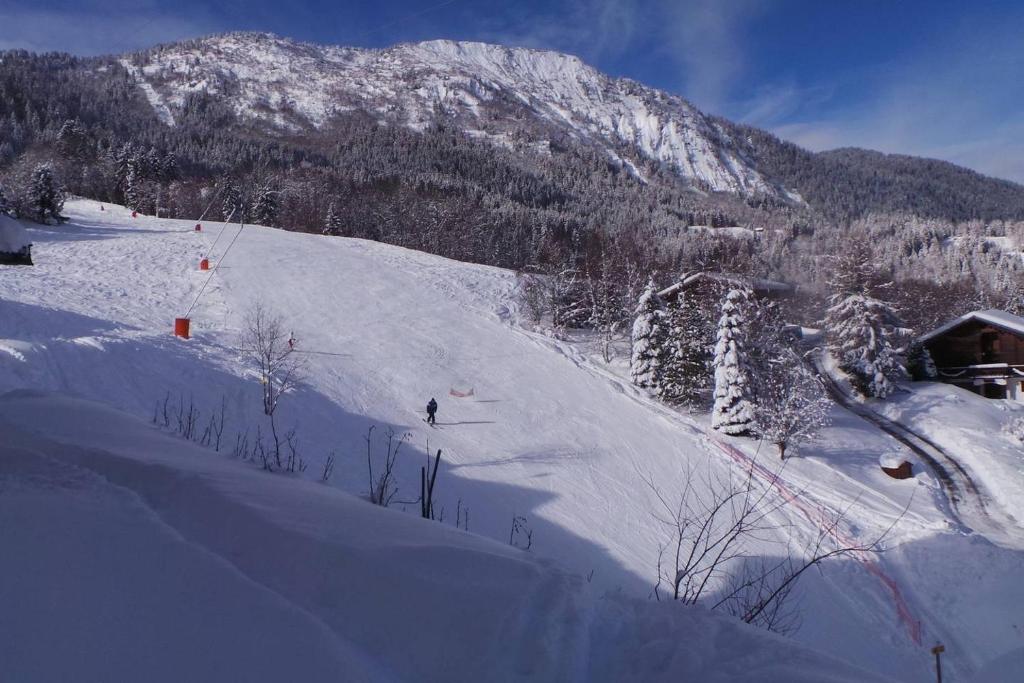 Spacious and stylish flat at the foot of the Mont-Blanc ideal for ski in ski out photo 2